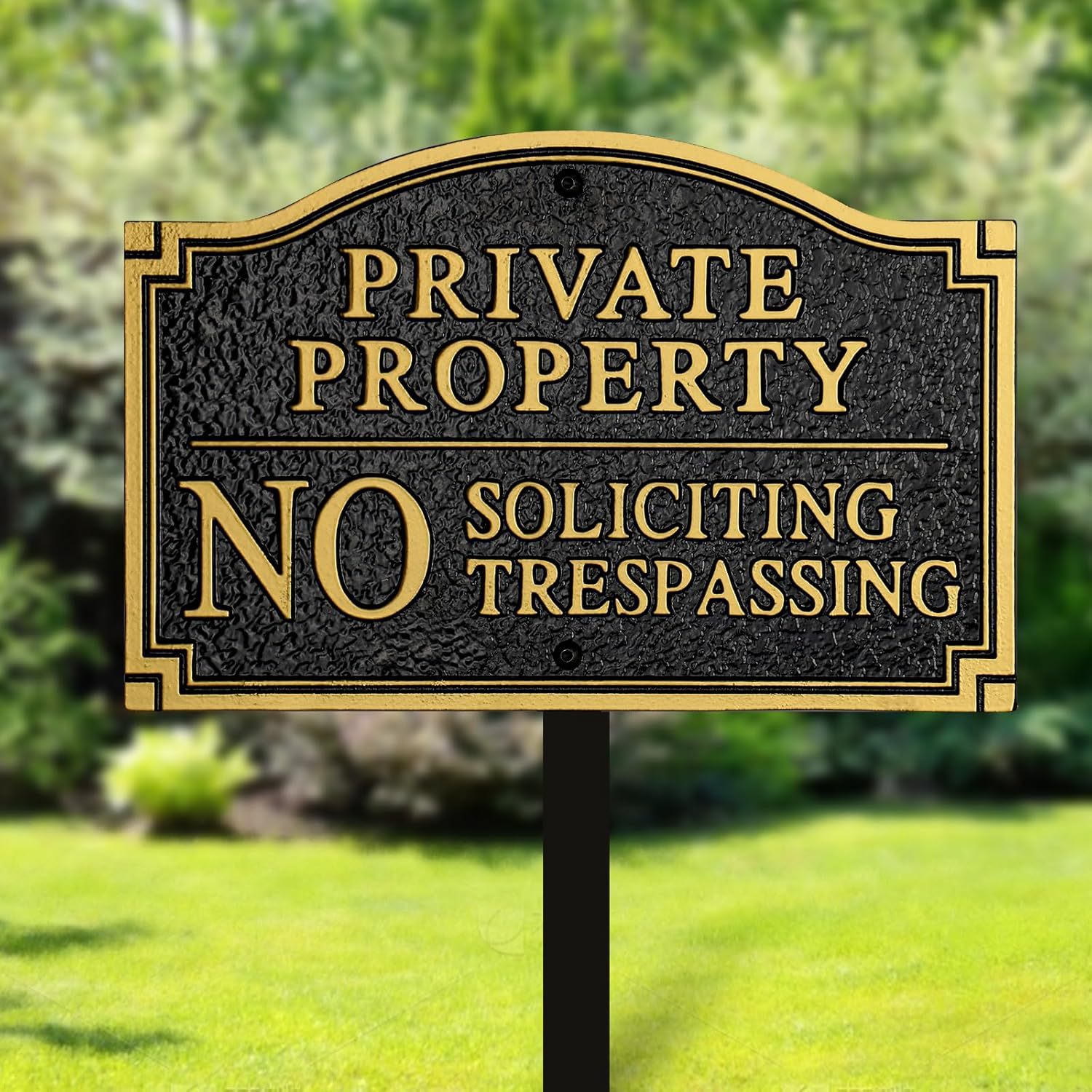 81Pk1EAHzUL._AC_SL1500_