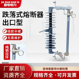 高压熔断器;避雷器