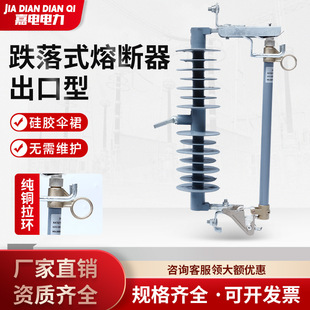 Export Type Drop-Out Fuse Rw12-33-100A Outdoor Pole-Mounted High-Voltage Drop-Out Fuse