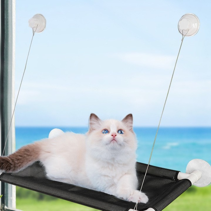 Amazon explosión ventosa gato escalada estante de vidrio gato sin perforación de perno de gato transparente hamaca cuerda de cáñamo de plástico artículos para mascotas