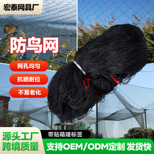 �S�Ҝ�]���B�W�����ٙ��Ҙ��r����W������@�Bֳ�~����]���B�W