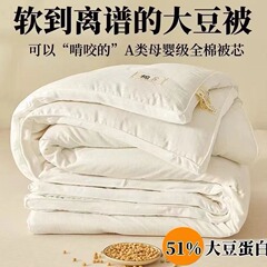 大豆繊維キルト、クラスAキルト、オールシーズンエアコンキルト、春秋キルトコア、純綿増粘冬用キルト