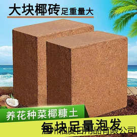 泡发斤印度脱盐大椰砖椰土椰粉砖种菜无菌营养土绿萝土椰糠包邮