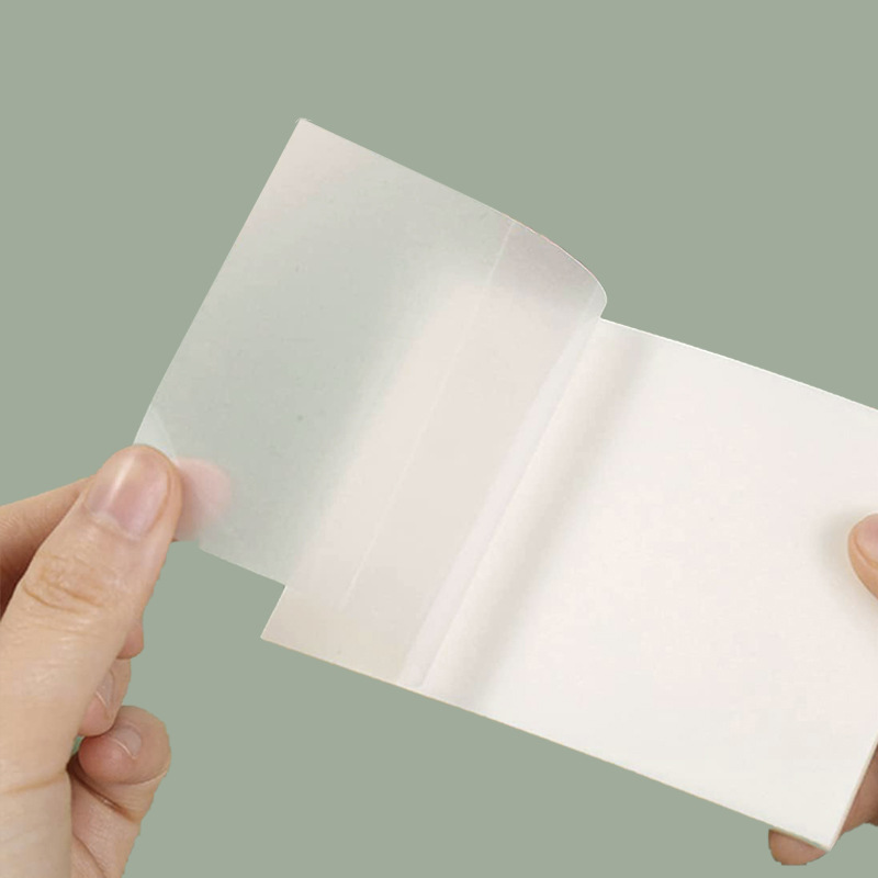 Cross-Border Popular Sticky Notes for Students with Office Index Stickers Pet Colorful Note-Taking Stickiness Transparent Sticky Notes