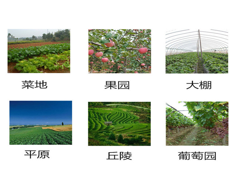 效果圖 (1).jpg