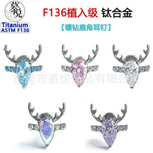 F136�ѺϽ�5A�����ʯ¹�Ƕ���G23��ʥ��¹������Ʒ�滻ͷ���ඤ
