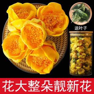 �𻨲��Ұ�����ؼ����ɻ��軨�V�����Ǹ���ʮ�f��ɽ���ս𻨲��~