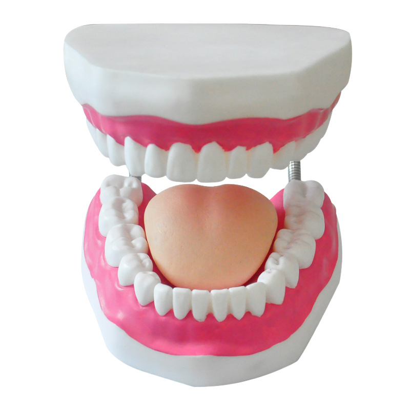 ����������ģ�ʹ����������ѧģ�� 6���Ŵ� ��ǻ������ģ��