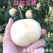 ���Ҙ��� ���������� ������ �޽��Ҙ��� �Ϸ������Nֲ ������ľ