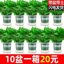 �G�}�����҃Ⱥ��B������ȩ�����՚�ˮ��ֲ��Gֲ�������ԾG�j���l