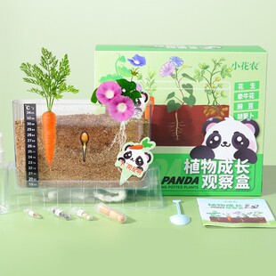 Small Flower Farmer Panda Plant Observation Box Kidsren and Students Planting Cup Educational Science and Education Toys Fruits and Vegetables Root System Florals