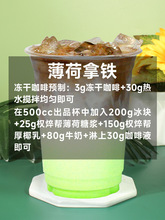 薄荷糖浆750商用0脂薄荷汁浓缩液拿铁奶绿奶茶店冰吸柠檬茶