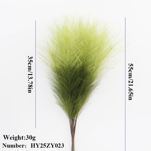 ���R�d�羳55CM����˹�ݱ��Wboho�b�����u׃ɫ�JȔ���ݹ�β�Ͳ�