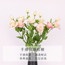 阿莫克厂家直销仿真花 客厅餐桌假花 高质手感保湿桔梗