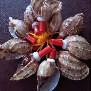 ؐ����ˇƷؐ�����ں�����̖ �����ݴ�̖С̖