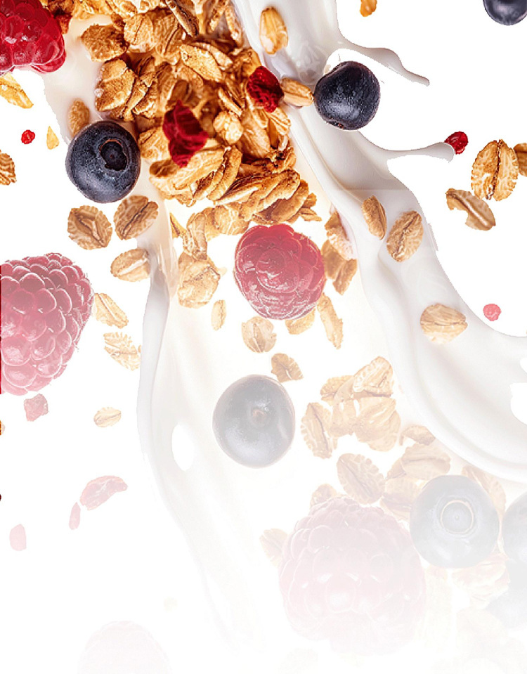 Supermodel Bowl Oatmeal Flaxseed Cocoa Powder Meal Replacement Drink Mix 245g Instant Brew No Added Sucrose specifications