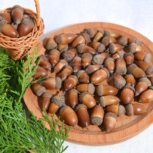 ȻĹȻӸɹ}QDIYֹ׃@bù