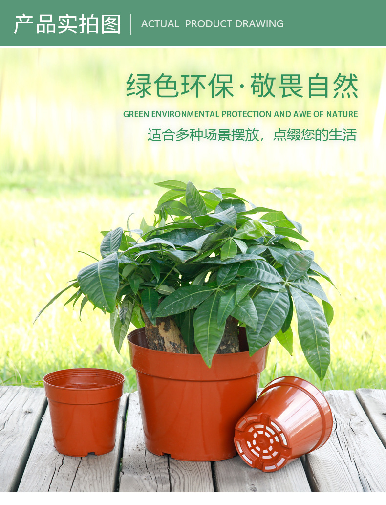 C型网底花托盆 (11)