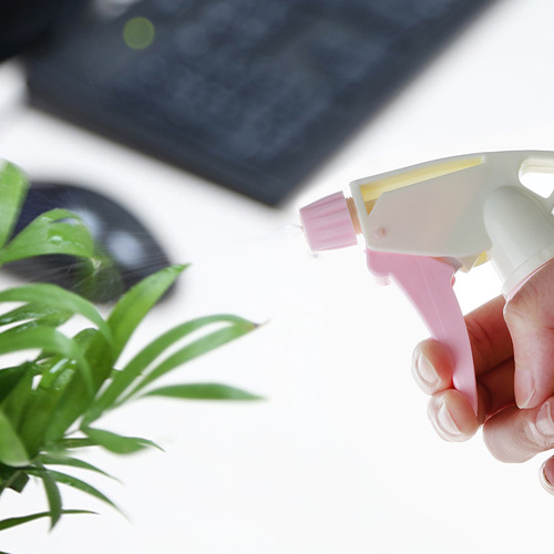 Zhenxing spray bottle PT001 household transparent flower watering spray bottle pressure sprayer small air pressure sprinkler alcohol bottle