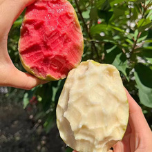 ���h���V�����ͼt���pƴ�Ř���ʯ�񮔼��������rˮ��A�ϙ�