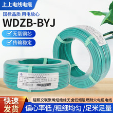 |WDZB-BYJݗսϩN^ou͟ȼɳܸߜ|