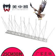 SֱN25CMLPB÷B̽B؈ᔑ늾B