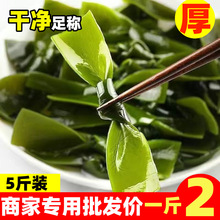 新鲜盐渍海带结海带结特厚干海带非干货海带扣麻辣烫串串批发特价