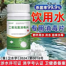 净水片饮用水食品级户外井水地下水自来水杀菌批发