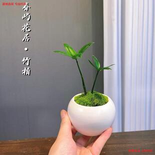 ������\���d�k���ҾGֲ�����҃��k������ �ļ�ꖹ��Ї��L С����