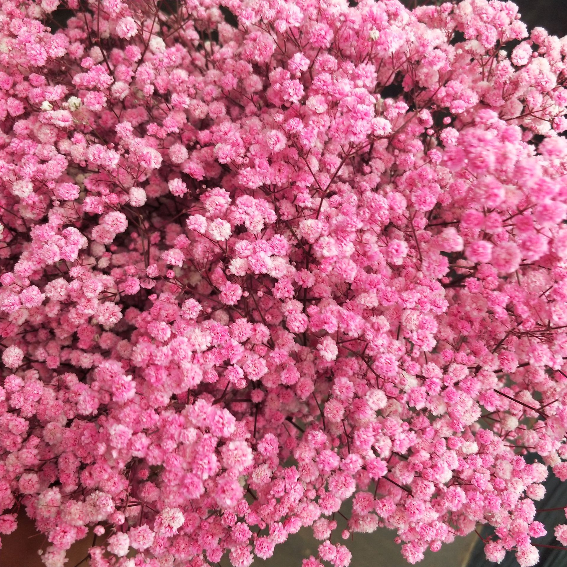 微信图片_20210715174038