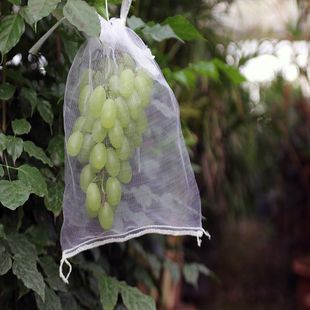 �����W�������״��ӷ��B�Wˮ�����x�W��͸�Ᵽ�o�׈@ˇ�b[��