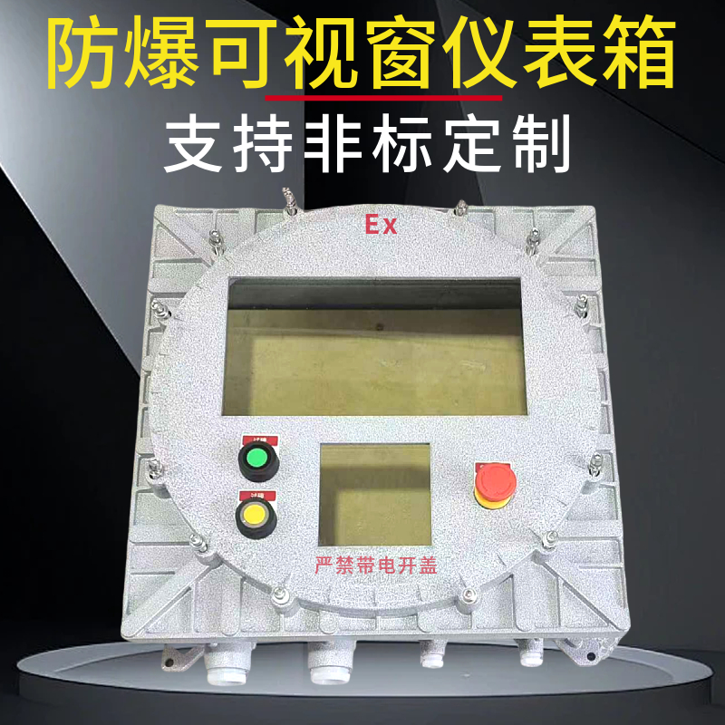 防爆仪表控制箱触摸屏配电箱玻璃可视窗观察电表箱开关按钮接线箱