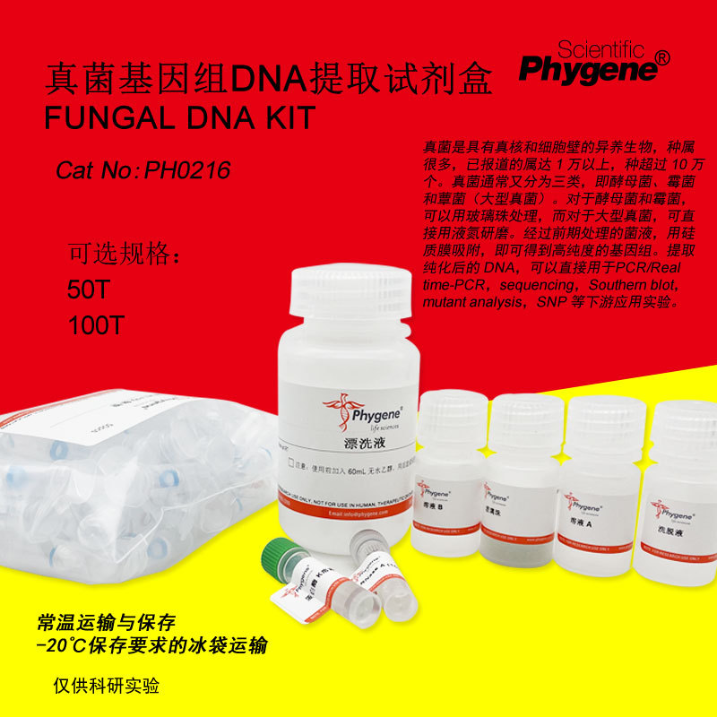 真菌基因组DNA提取试剂盒 Fungal DNA KIT 100T [PH0216 PHYGENE]