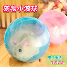 늄ӂ}��L����߃�ͯС�������ë�q���﹫�ЌW���L���������Ȍ�