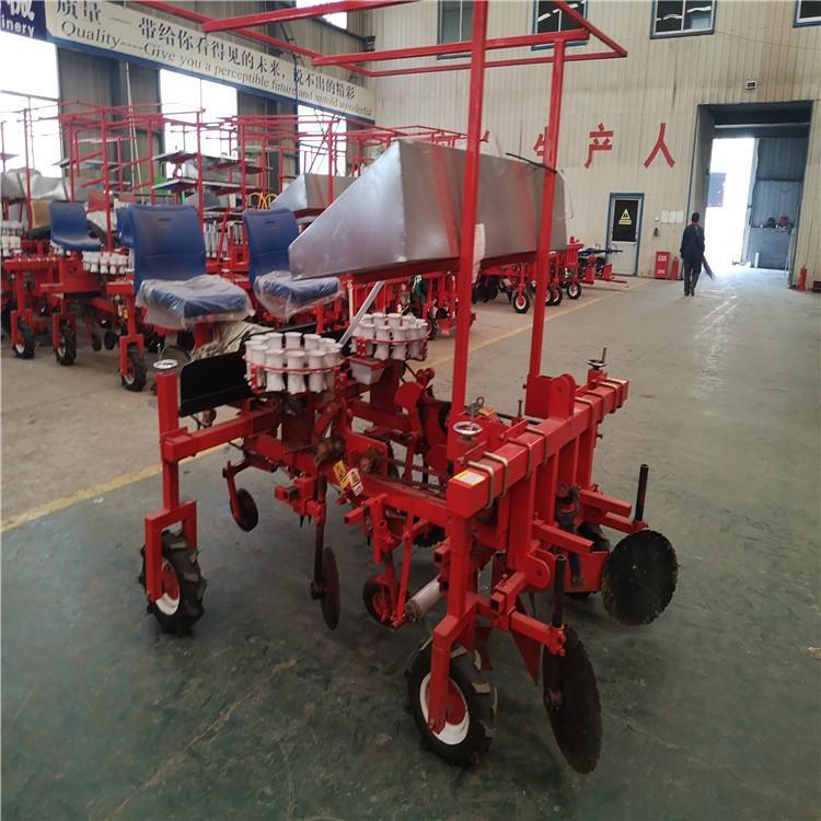 Máquina de trasplante de plántulas de patatas dulces Máquina de trasplante de plántulas de acero inoxidable Vegetales colza plantación de col una mina image 5