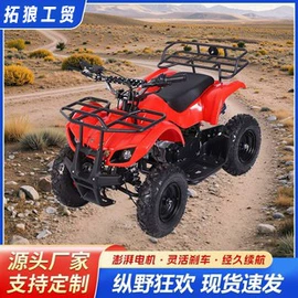 其他电动车;沙滩车;其他摩托车