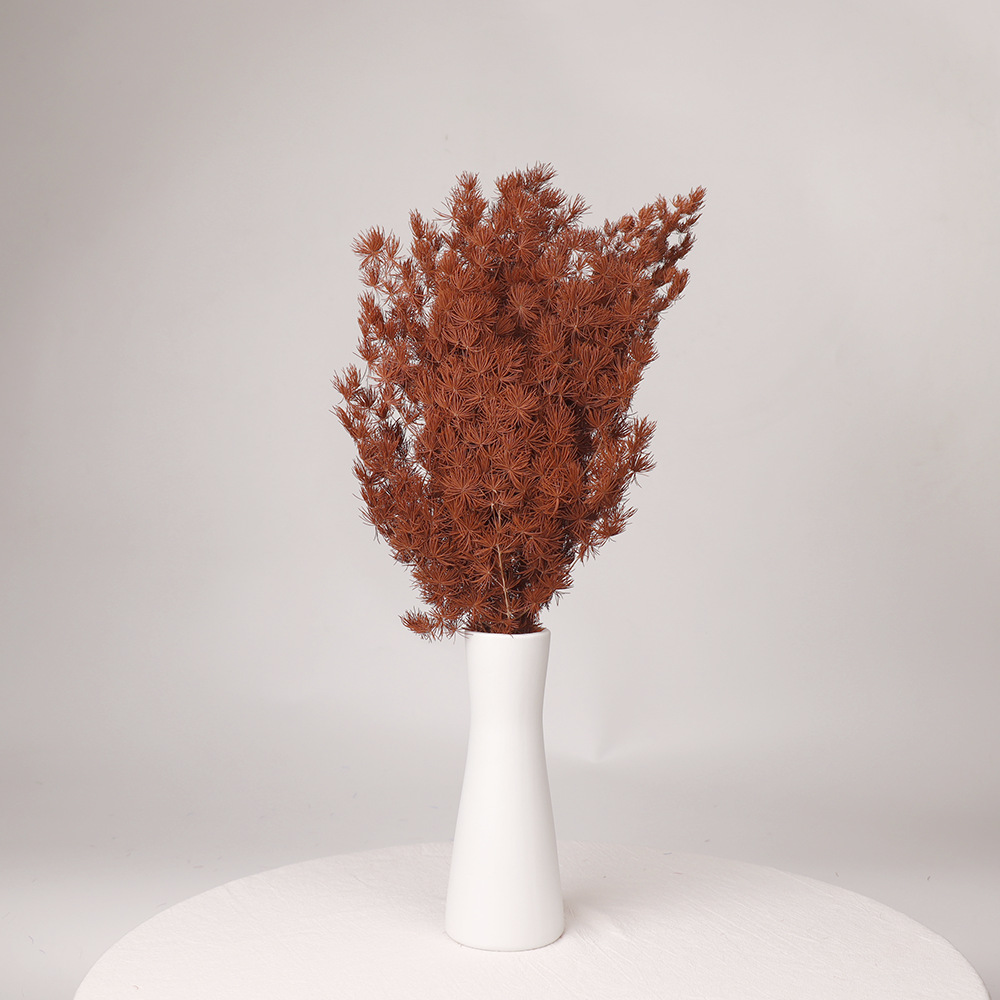 Pino Penglai flor eterna Navidad Pino preservado flor seca ramo Yunnan flor decoración del hogar Accesorios de tiro