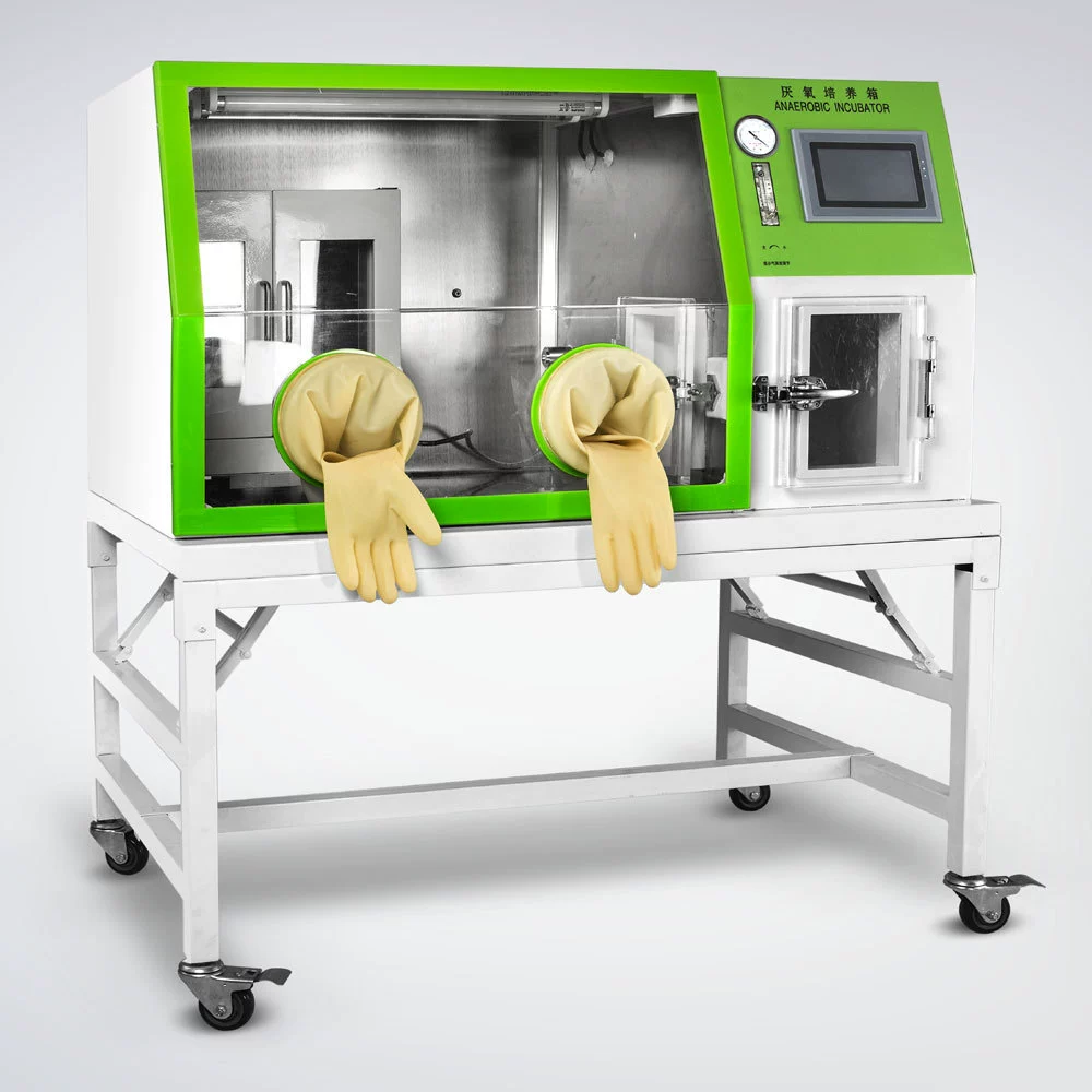 Shanghai Longyue LAI-3T-N коробка для анаэробного культивирования с сенсорным экраном, автоматическое пылесоса, функция автоматического удержания давления