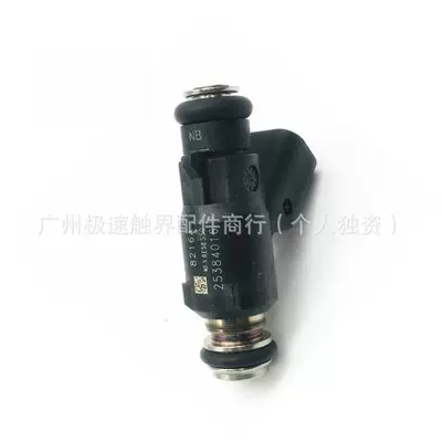 Car Fuel Injector Nozzle Oil pump, nozzle