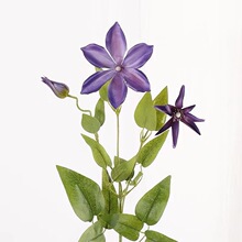 ꖷ3^Fɏֲq֦ĵɏ`ɬFҾbczӰ