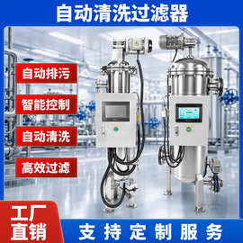 广翔宇厂家直销全自动反冲洗过滤器带增压污水处理过滤器定制订做