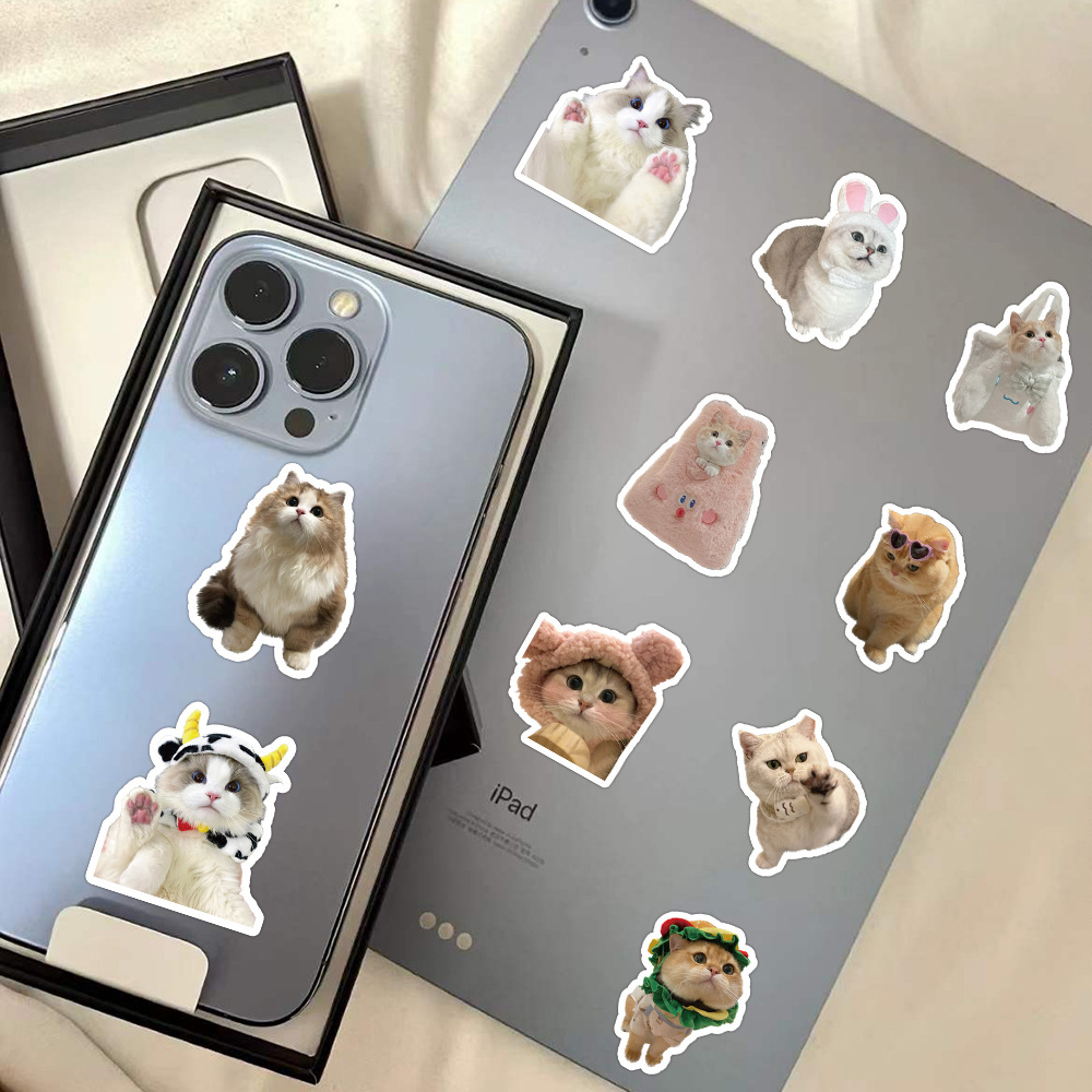 60 Pieces Of Realistic Kitten Stickers Cute Cat Cute Expression Creative Decorative Water Cup Notebook Journal Small Stickers display picture 2