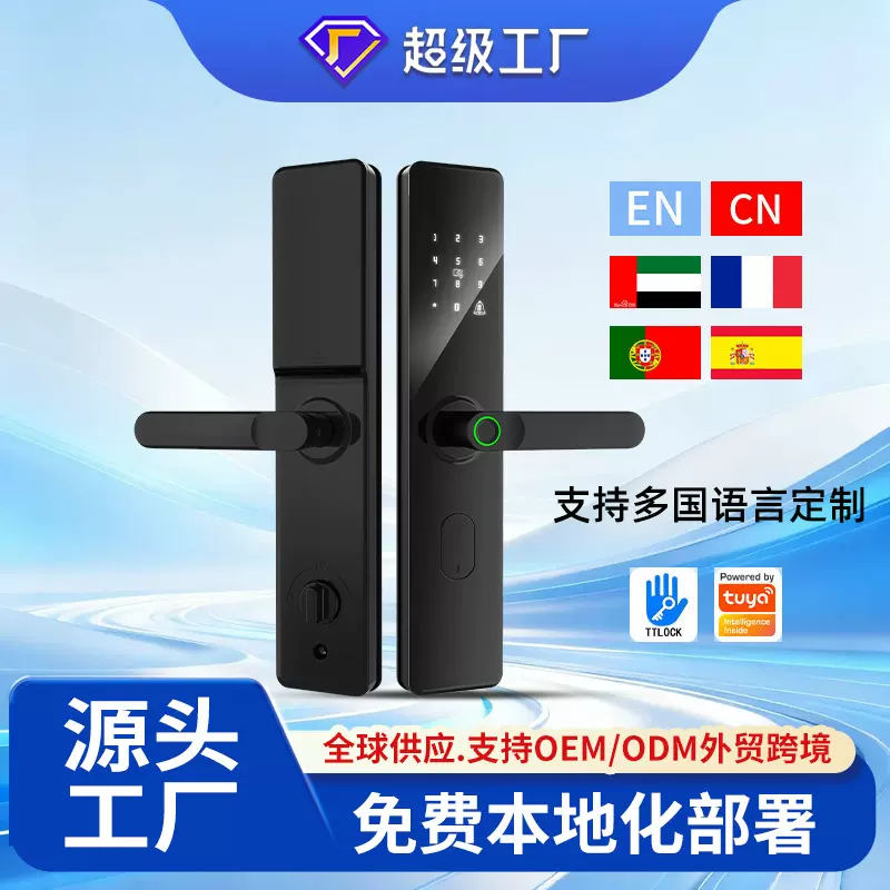 源头工厂半自动指纹锁家用室内门锁涂鸦TTLOCK智能锁外贸跨境OEM