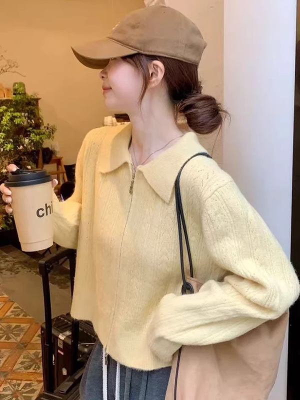 法式复古拉链翻领毛衣外套女秋季穿搭奶呼呼软糯宽松针织开衫上衣|undefined