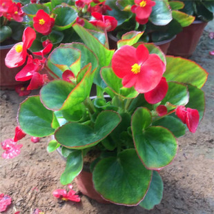 �ļ��_������ �������ذ������� �����l؛�҃������ļ��_�����]