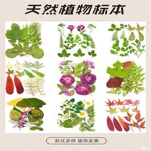 ����~ֲ��˱��G�~ diy������ͯճƴ�N�����ϰ��ɻ�Ѻ������