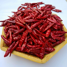 干辣椒