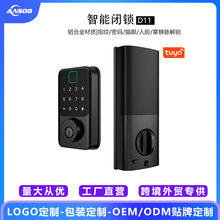 美式闭锁智能呆锁指纹锁密码锁刷卡锁人脸识别掌静脉猫眼涂鸦WIFI