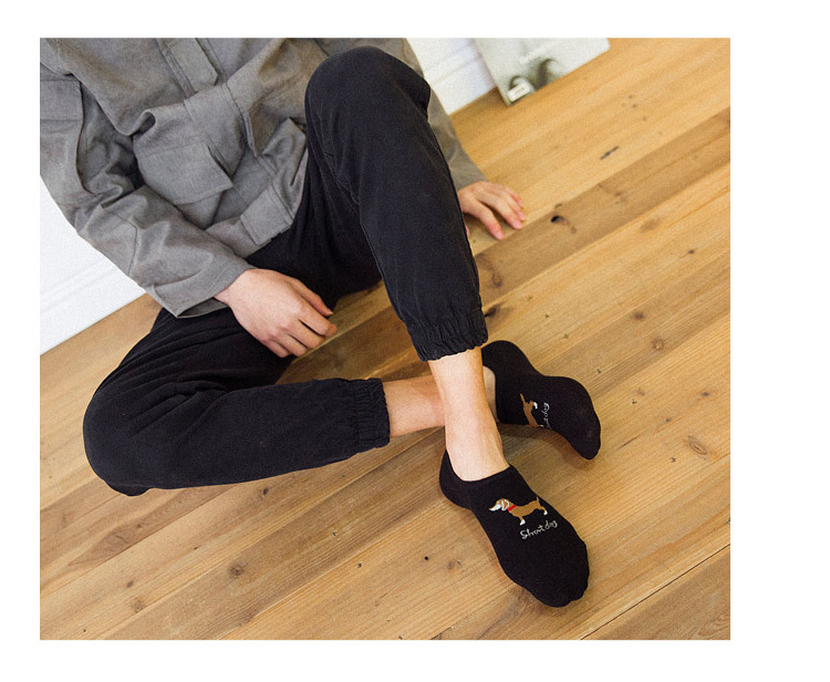 狗狗细节 (13).jpg