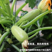 �����J�������ļ��N�Ӳ������J���J�N���ѾGƤ���＾�߮a�N�Ӵ�ȫ